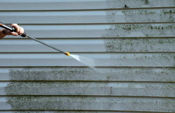 Best Solar Panel Cleaning  in Fabrica, TX